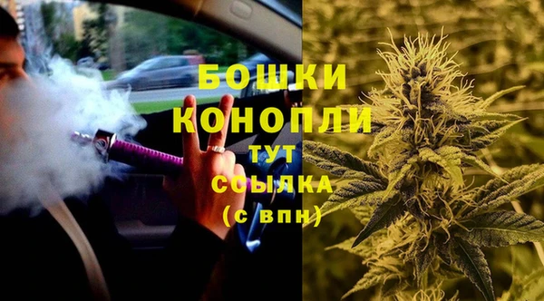 каннабис Богданович