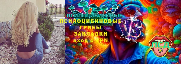 Альфа ПВП Богородицк