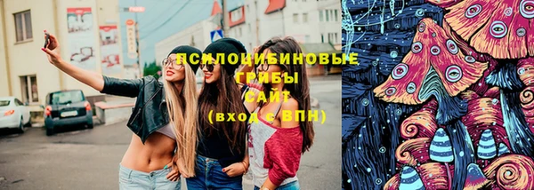 Альфа ПВП Богородицк